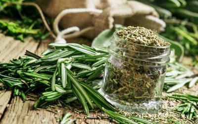 Tis the Season … for Rosemary