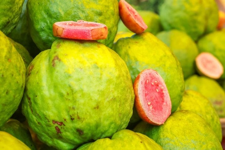 Guava fruit.